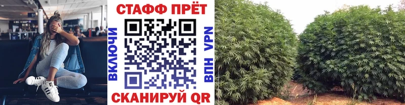 Купить закладку A PVP  Мефедрон  Cocaine  Ессентукская