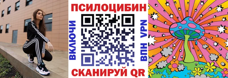 Галлюциногенные грибы мицелий Ессентукская